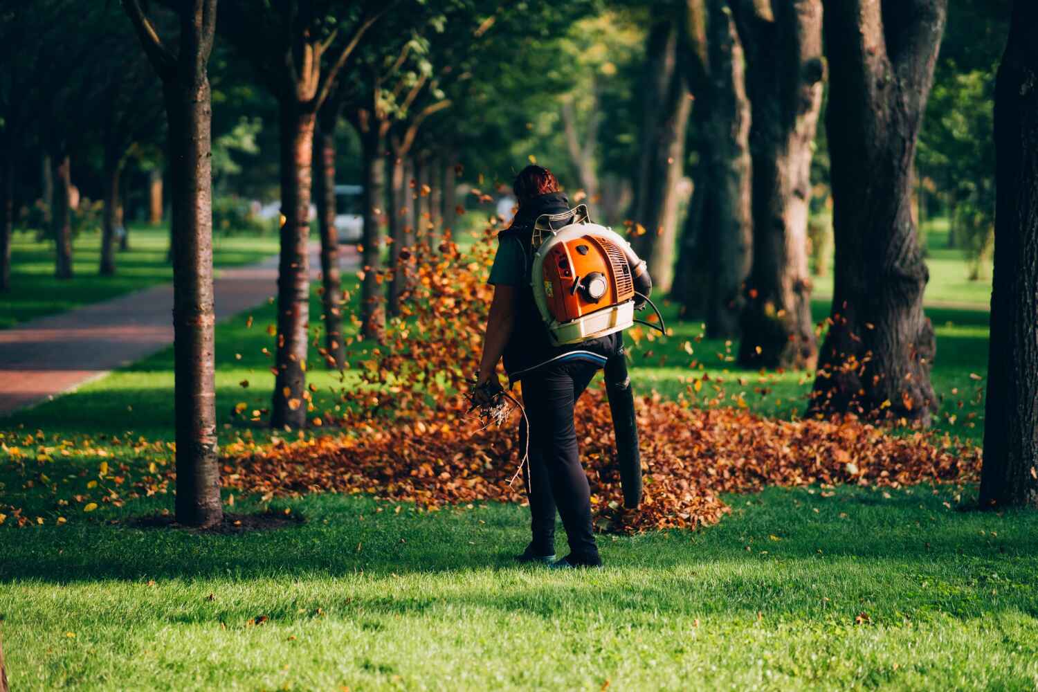 Best Commercial Tree Services  in Nephi, UT